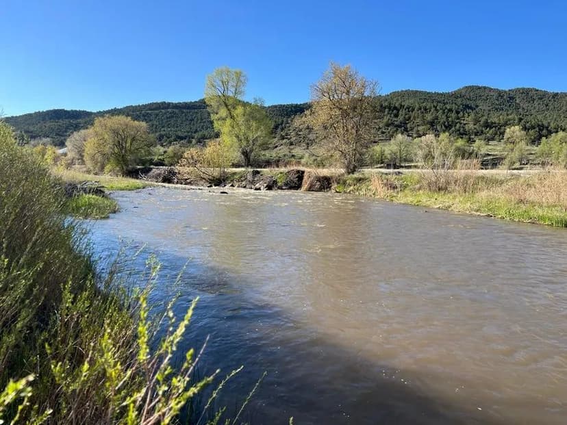 TBD CO-12, Segundo, CO