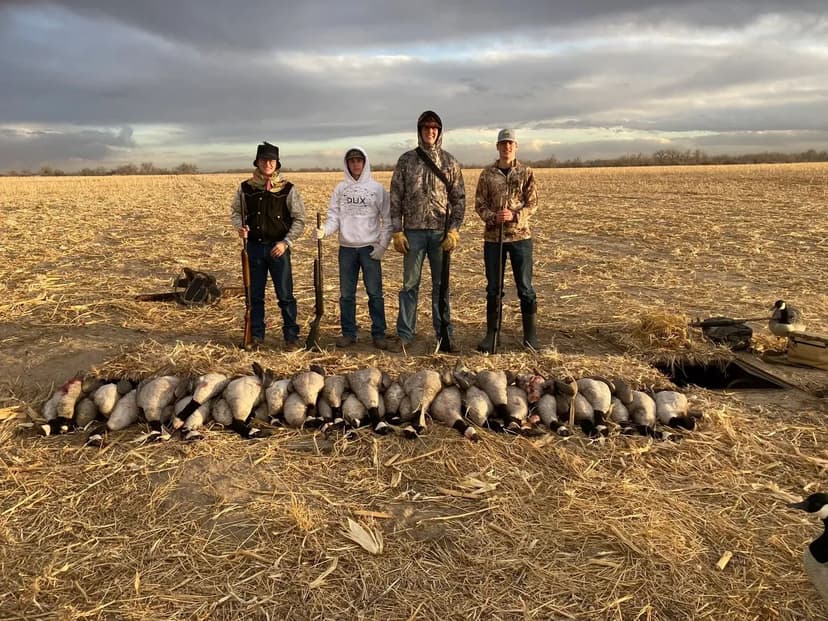 Bridgeport Irrigated 257