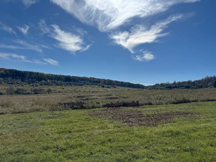 99 acres Woodlands and Tillable Land with Cabin and Pond in Belfast NY Gleason Hill Rd