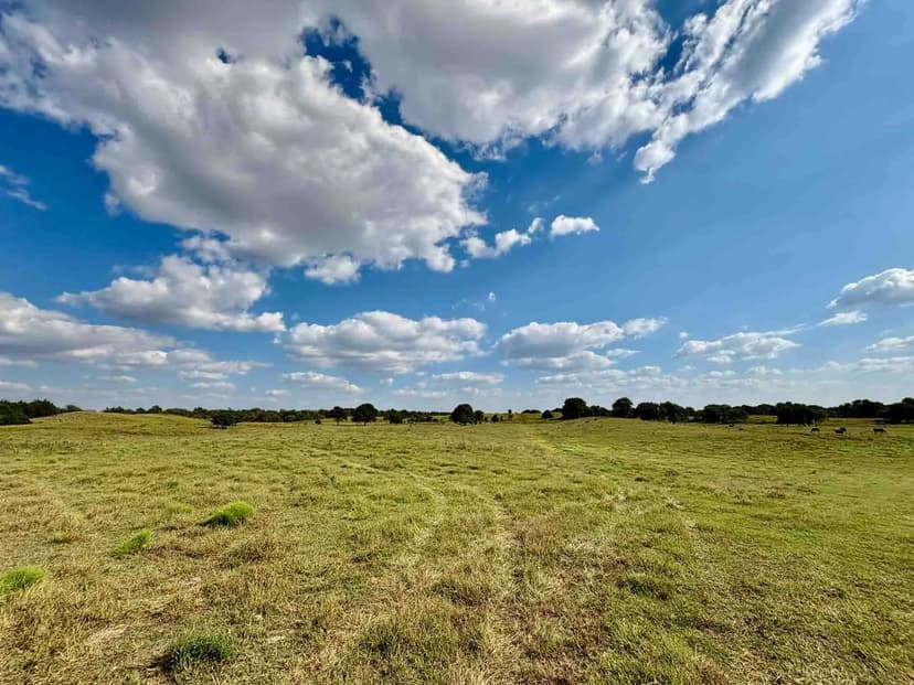 6± Acres & Home; 272± Acres Grassland, Timber