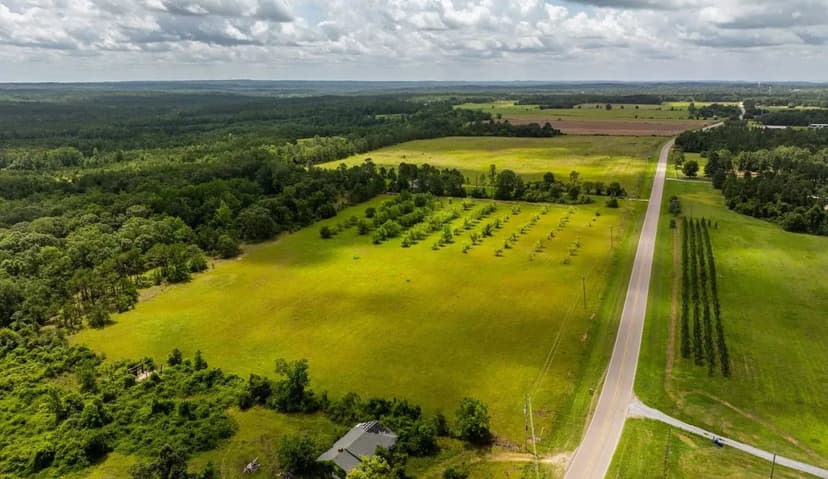 Welcome to Lilly Meadows (Lot 4)