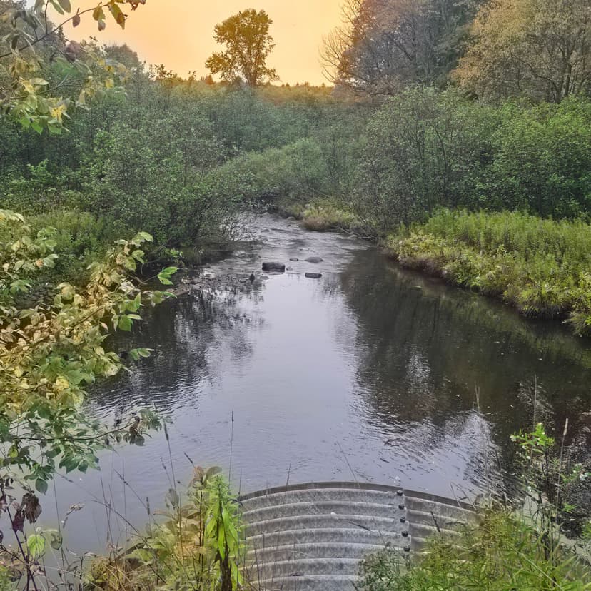 13 acres Hunting Land with Camp Worth NY