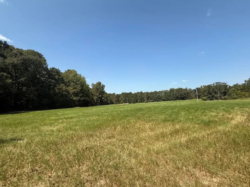 Great 96 Acre Hunting Tract in Barbour County