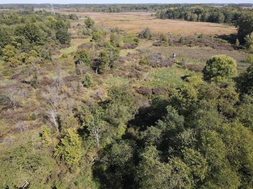 43.96 +/- ACRES / N 650 W WARSAW, IN 46582 / KOSCIUSKO COUNTY / LAND FOR SALE