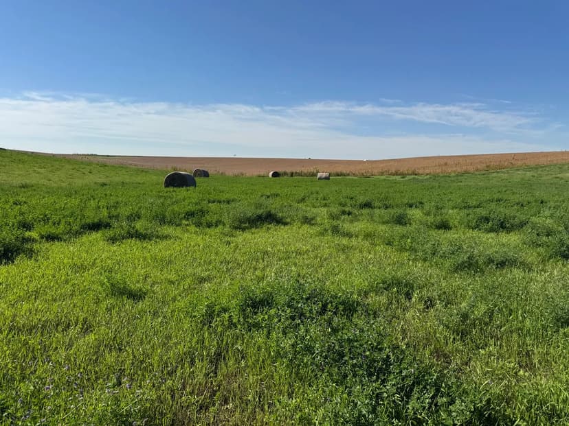 161+/- Irrigated Acres for Sale in Harlan County, NE