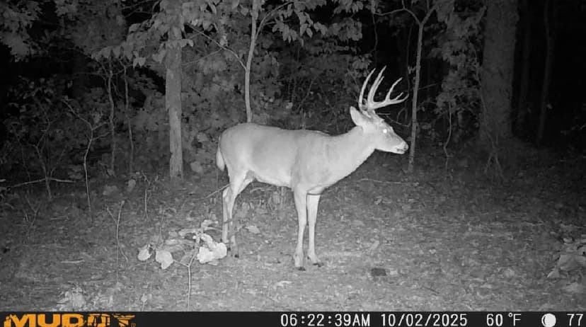 TBD Sunset Shores Ln. Camdenton, MO