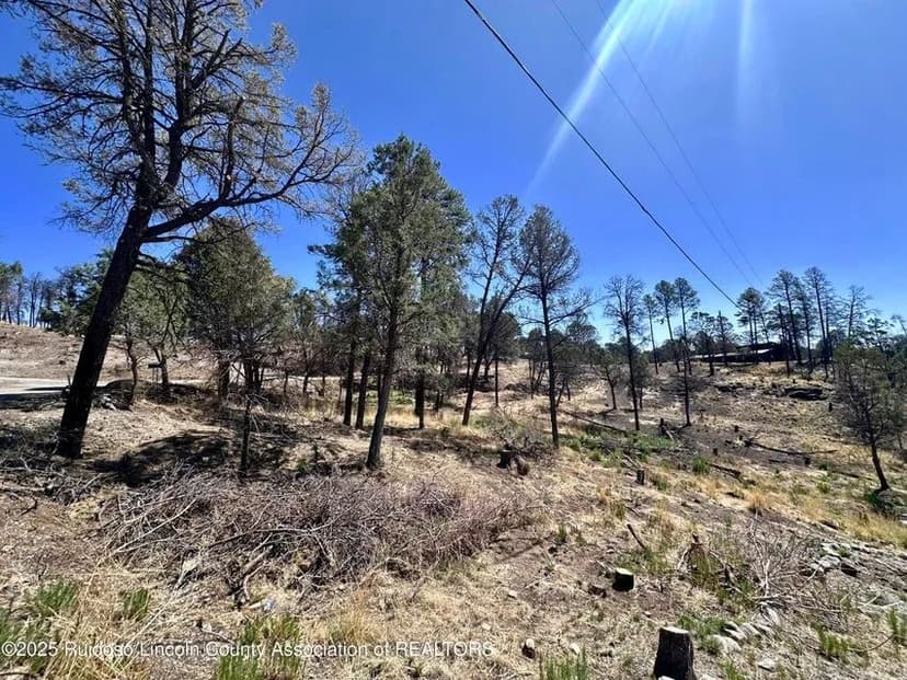 Vacant Land (0-10 Acres) in Ruidoso