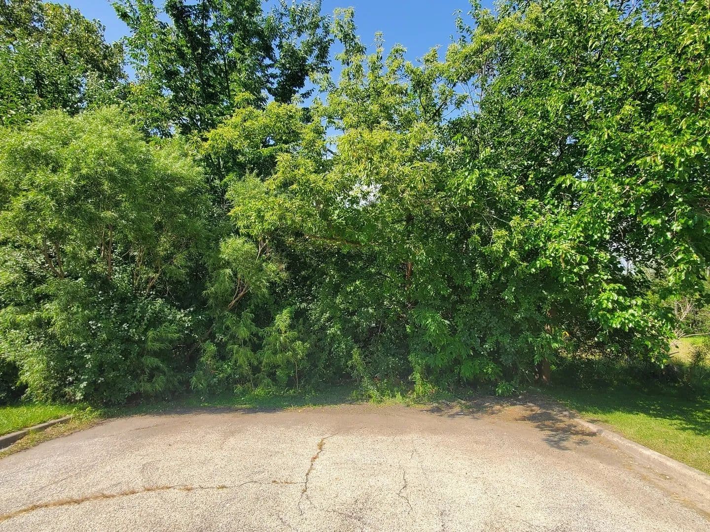 Vacant Land in Waukegan - Waukegan, Illinois, 60085
