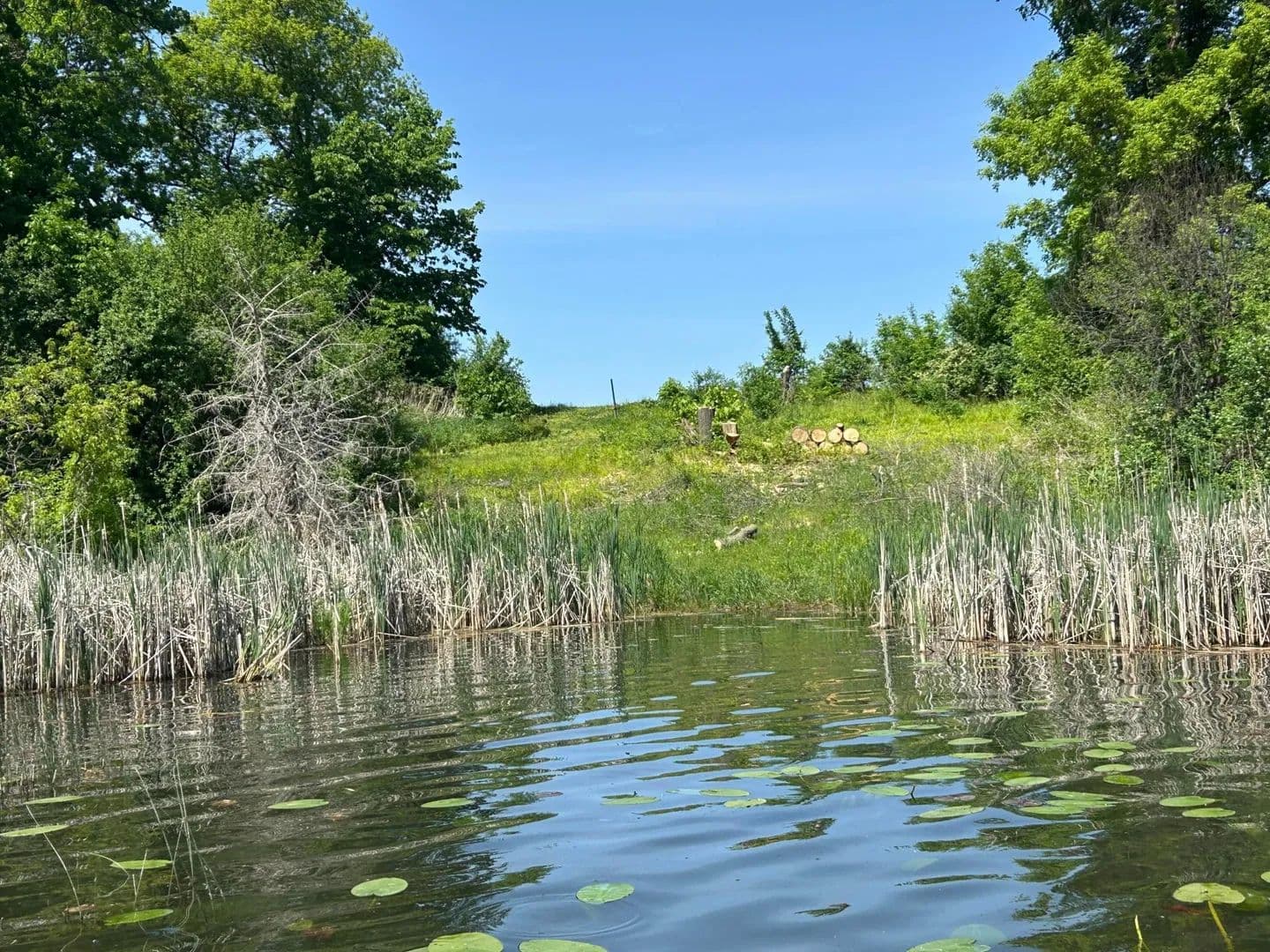 5.05 Acres of Land for Sale in Annandale, MN - Annandale, Minnesota, 55302