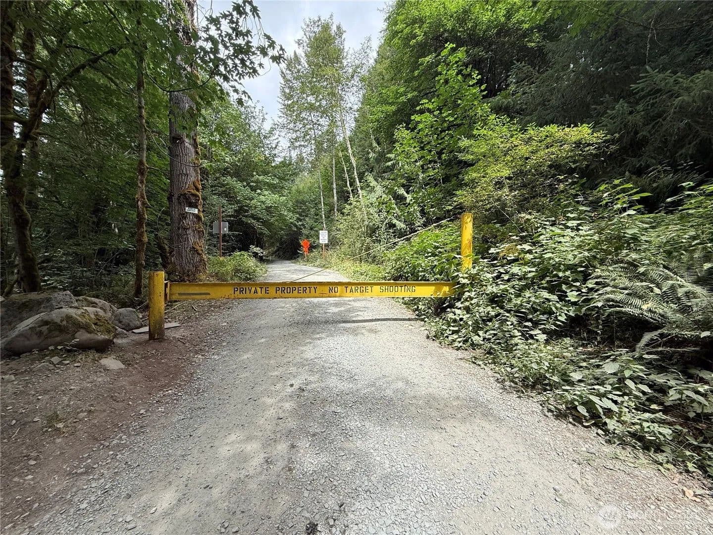 Vacant Land in Carbonado - Carbonado, Washington, 98323