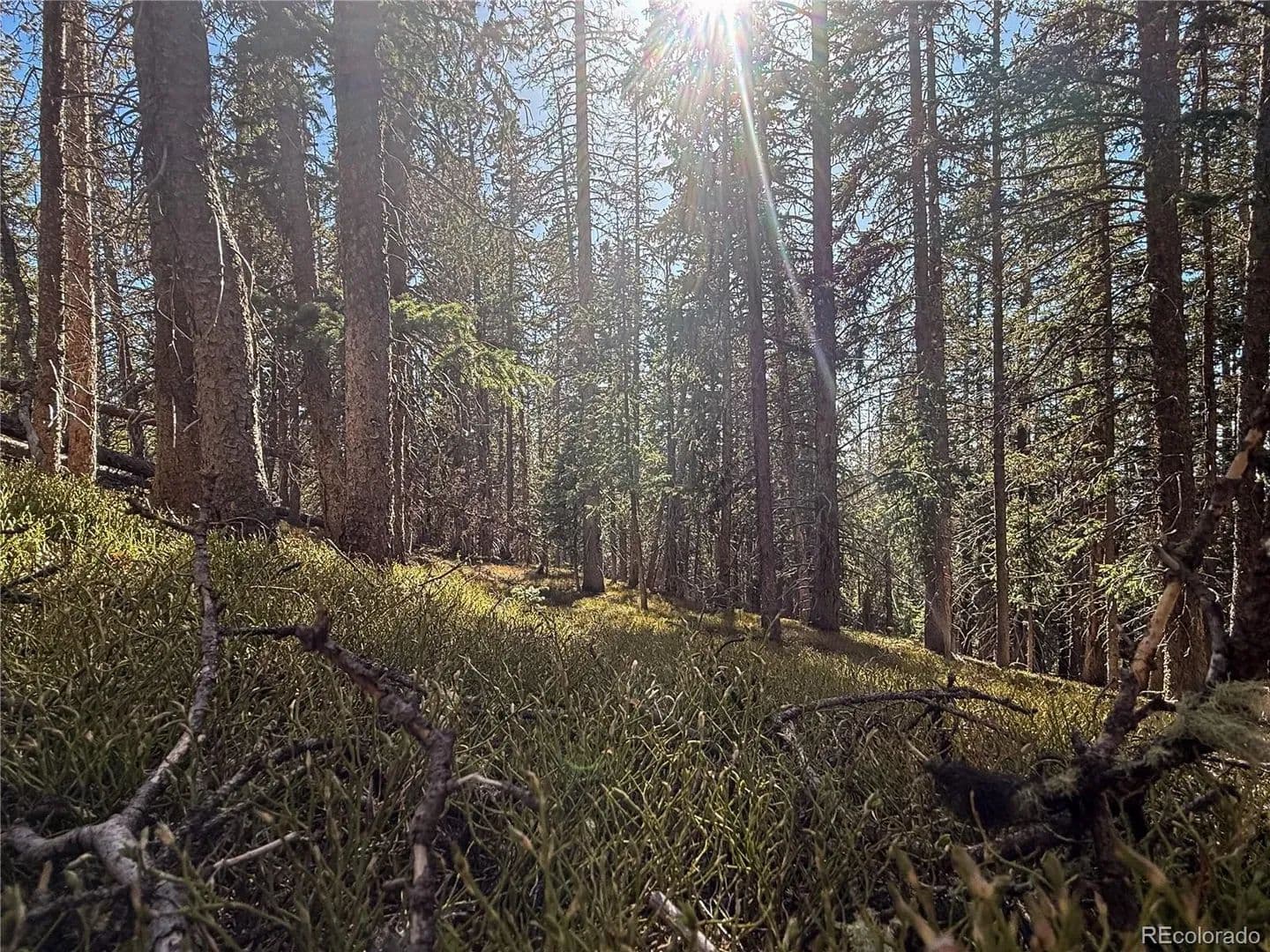 5.28 Acres of Land for Sale in Fort Garland, Colorado - Fort Garland, Colorado, 81133
