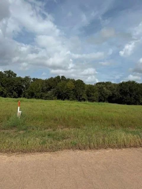 Vacant Land in Angleton - Angleton, Texas, 77515