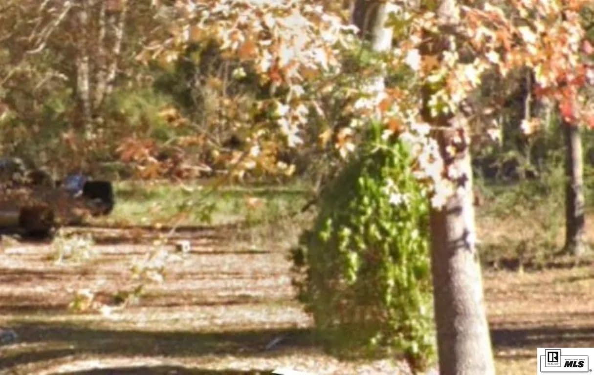 Vacant Land in Bastrop - Bastrop, Louisiana, 71220