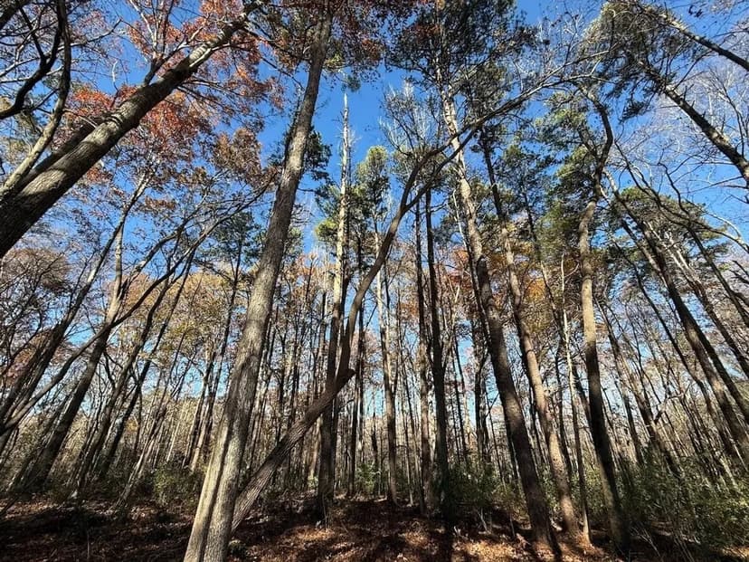 8.33 acres of Residential and Recreational Land For Sale in Chatham County NC!
