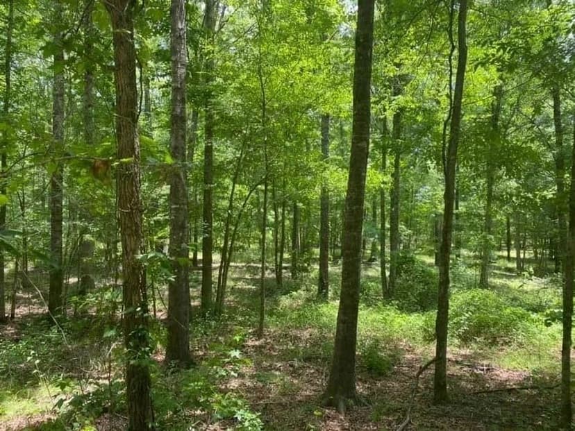 Property from 1200 Emmanuel Road - KW