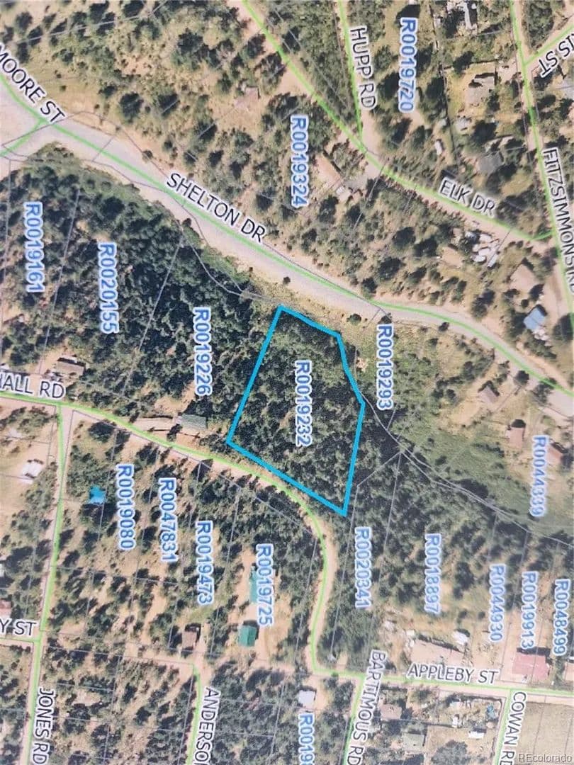 Vacant Land in Bailey - Bailey, Colorado, 80421