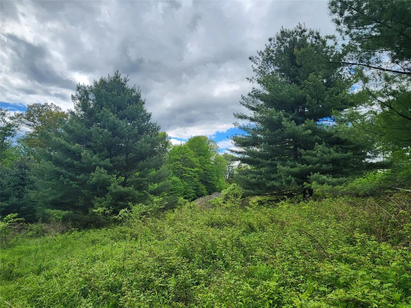 Vacant Land in Greene - Greene, New York, 13778