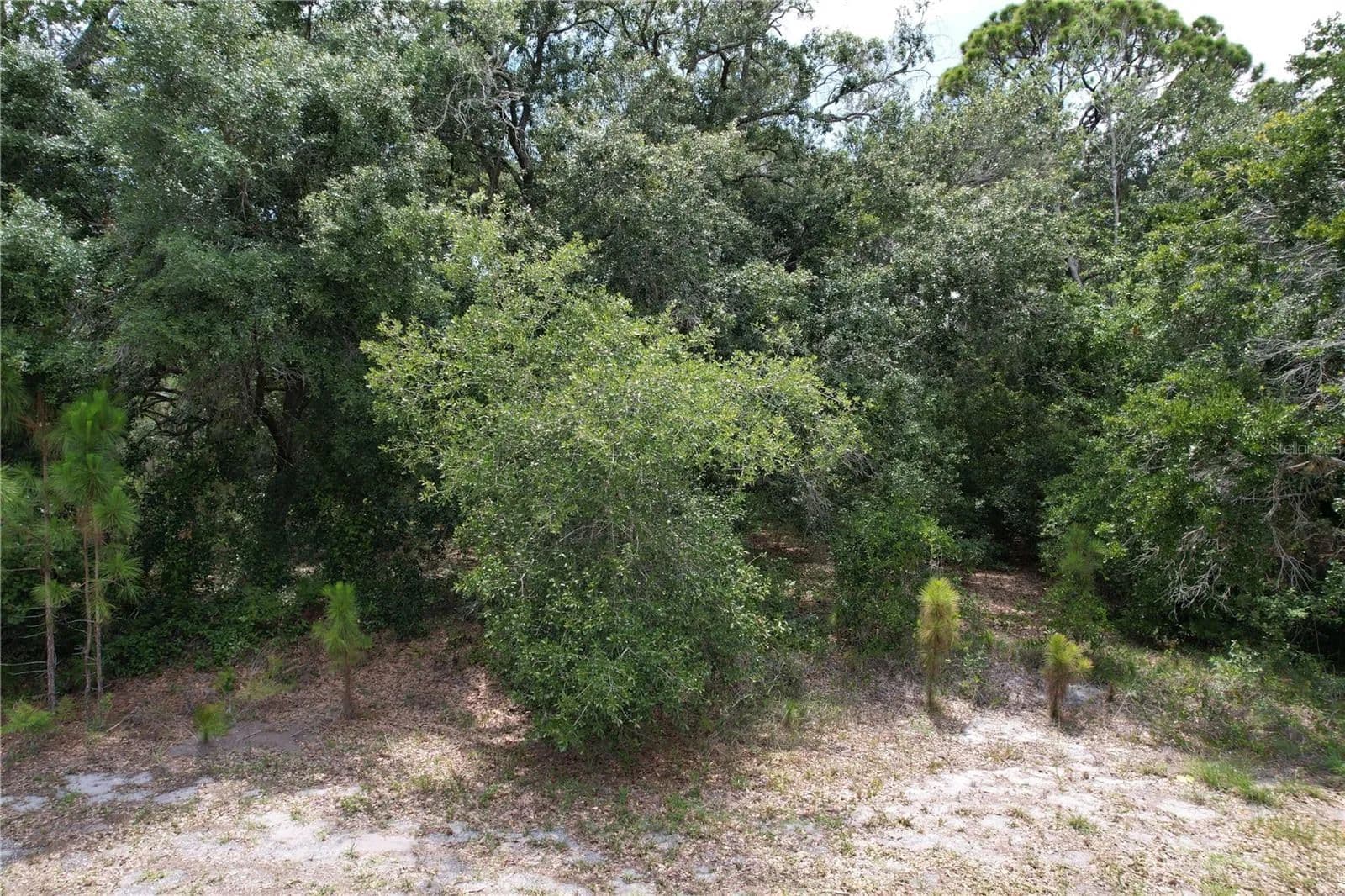 Lots & Land-Other in LAKE PLACID - Lake Placid, Florida, 33852