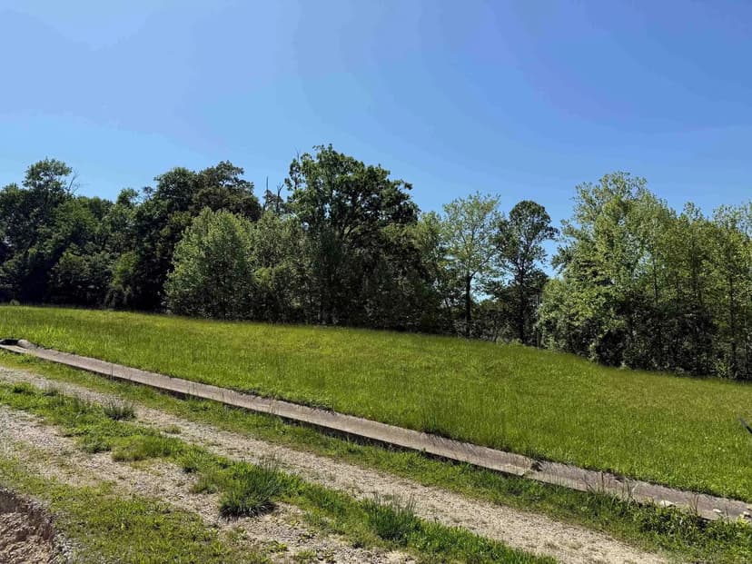 Lots & Land-Other in flatwoods