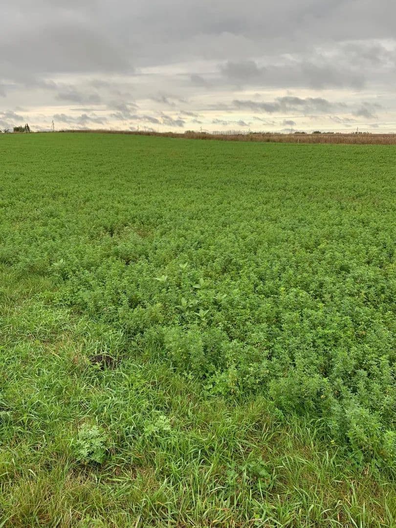 Vacant Land in Kimball