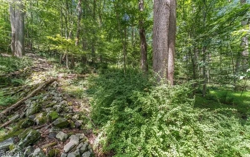 Lots & Land-Other in Holland Twp. - New Jersey, 08848