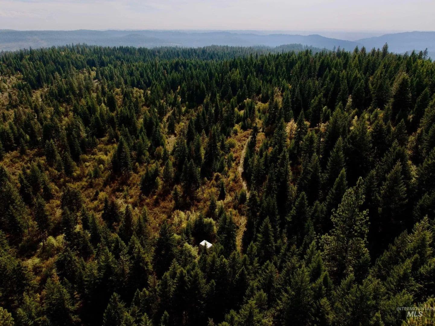 Lots & Land-Other in Orofino - Orofino, Idaho, 83544