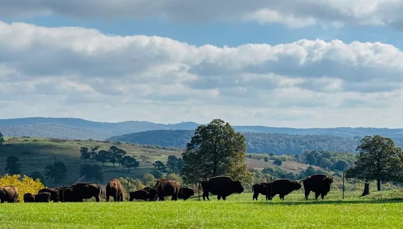 4000+- Acre of Ozark Legacy Land