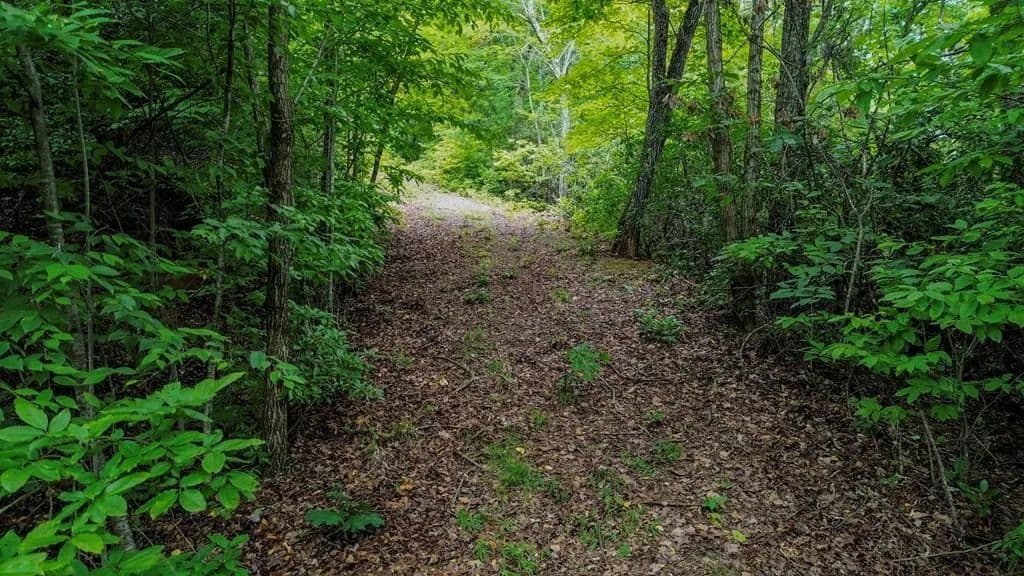 Property from 00 Spring Mountain Circle - KW - Franklin, North Carolina, 28734