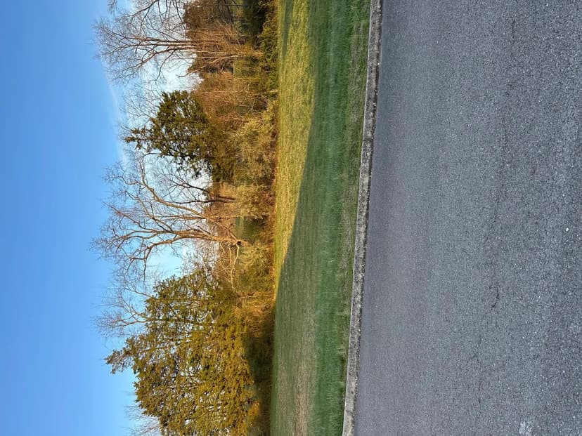 Vacant Land (0-10 Acres) in Harrogate