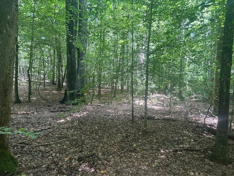 Land -Agricultural (Not Zoned) in Carrollton - Carrollton, Georgia, 30117