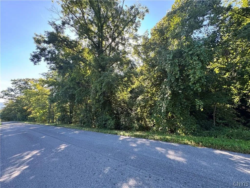 Vacant Land in Onondaga - Onondaga, New York, 13215