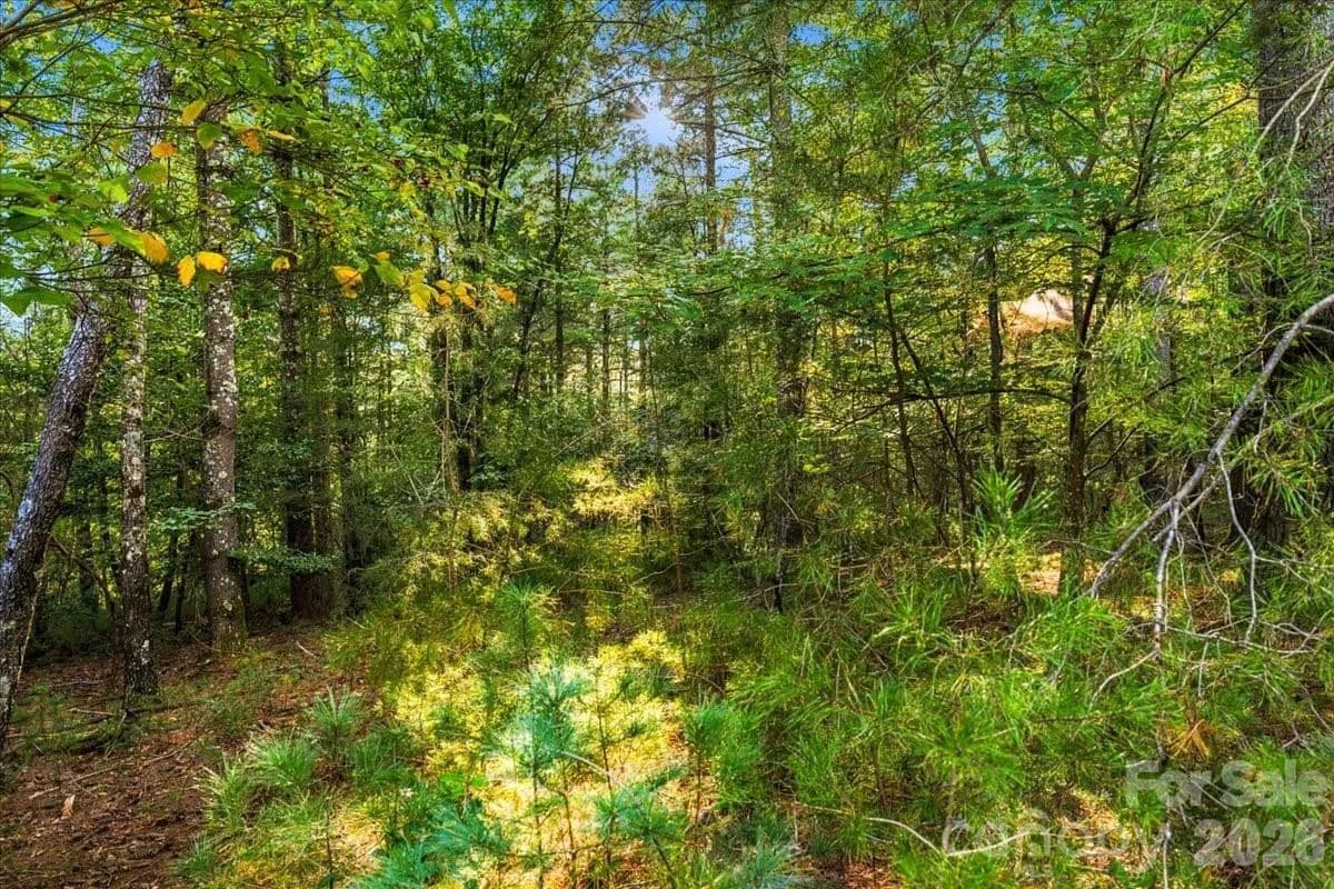 2.43 Acres of Land for Sale in Nebo, NC - Nebo, North Carolina, 28761
