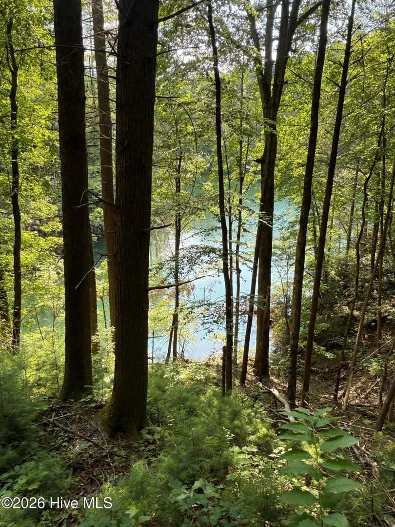 10.85 Acres of Land for Sale in Murphy, NC - Murphy, North Carolina, 28906