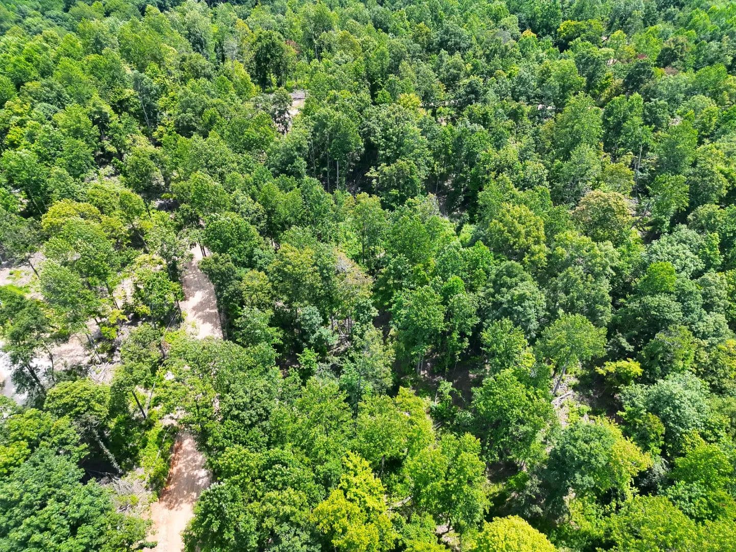 30.514 Total Acres in Hart County, KY - Bonnieville, Kentucky, 42713