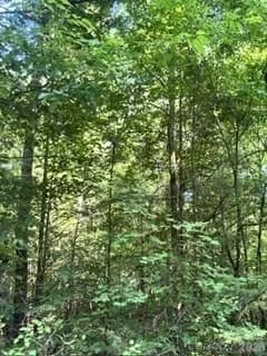 Property from TBA Ricks Road - KW - Sharon, South Carolina, 29742