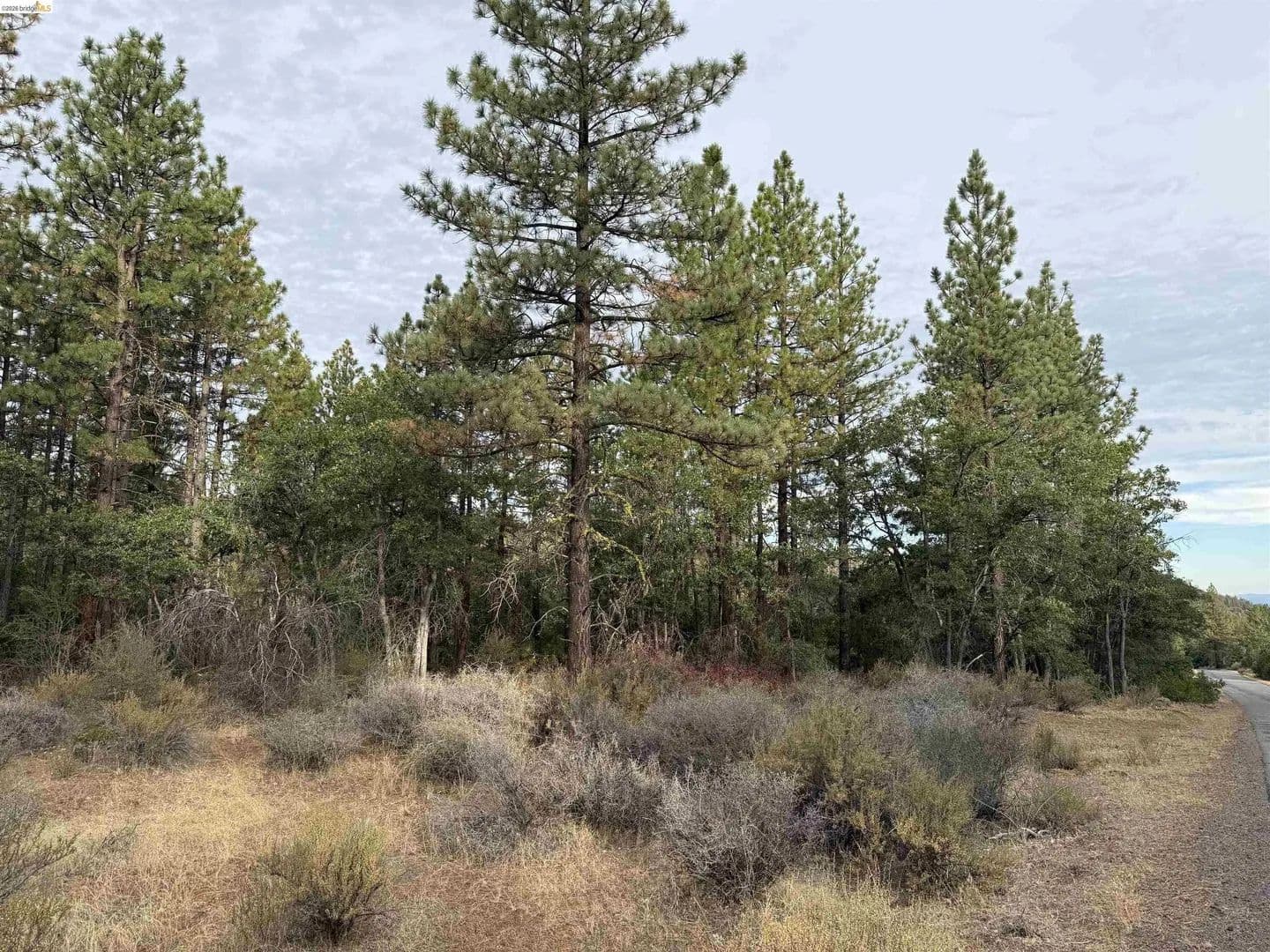 Lots & Land-Other in Little Valley - Little Valley, California, 96056