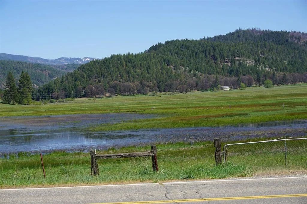 Vacant Land (10+ Acres) in Quincy - Quincy, California, 95971