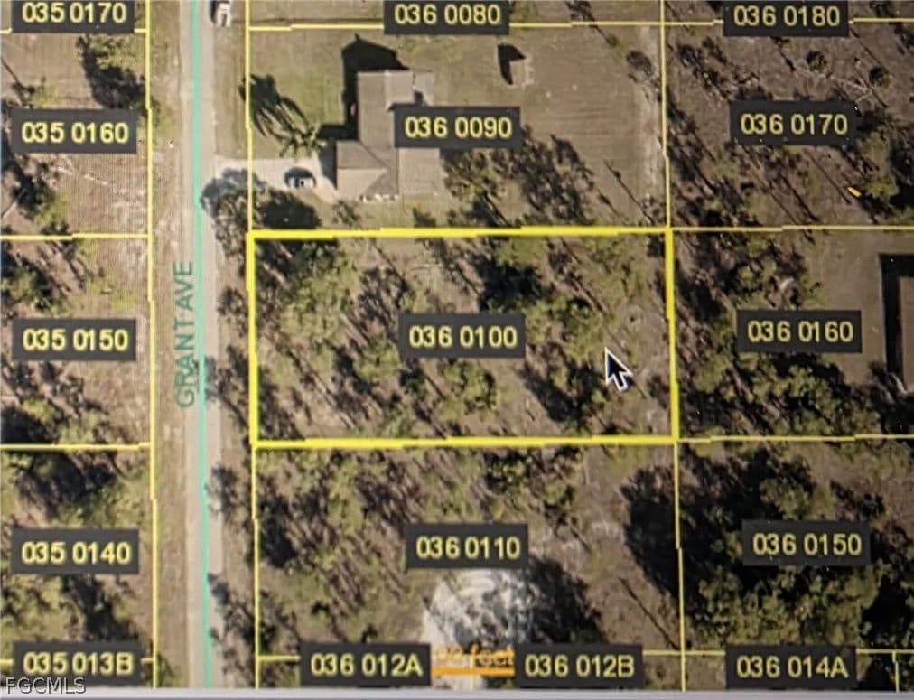Vacant Land in Lehigh Acres - Lehigh Acres, Florida, 33936