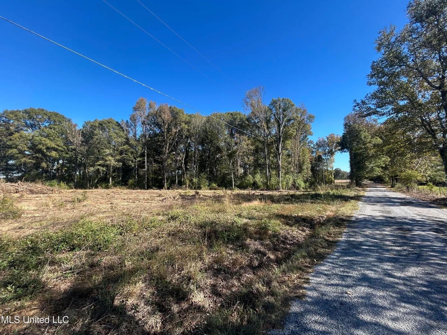 10.87 acres near Mendenhall, Mississippi - land for sale