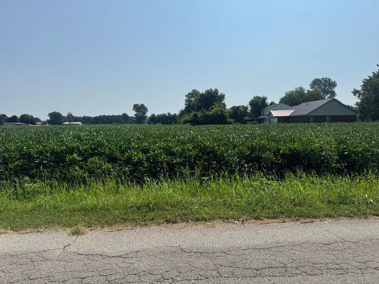 Land -Single Family Acreage in Blytheville - Blytheville, Arkansas, 72315
