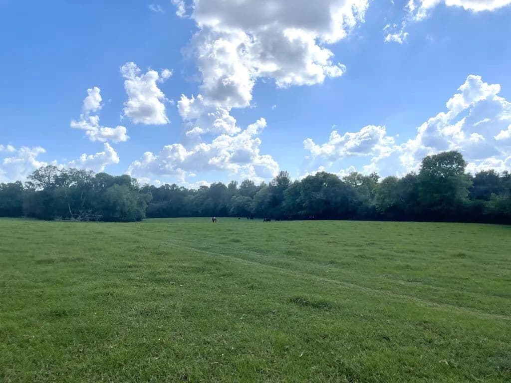 Lots & Land-Other in Nacogdoches - Nacogdoches, Texas, 75961