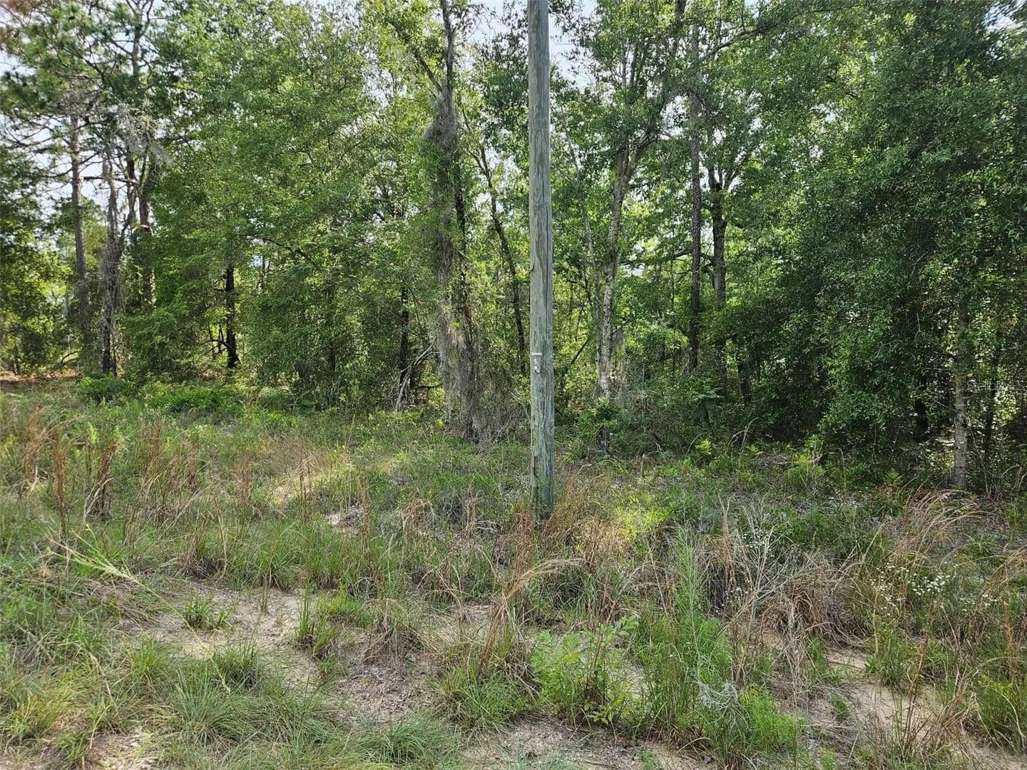 Property from tbd NE 153RD AVENUE - KW - Williston, Florida, 32696