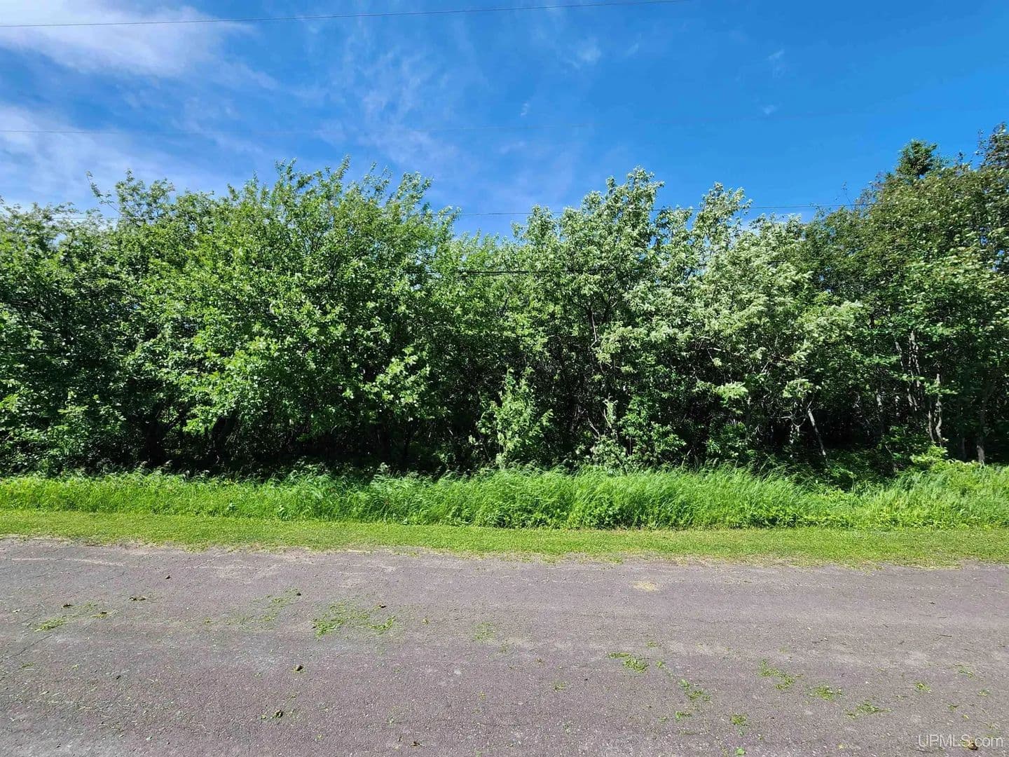 Vacant Land in Calumet - Calumet, Michigan, 49913