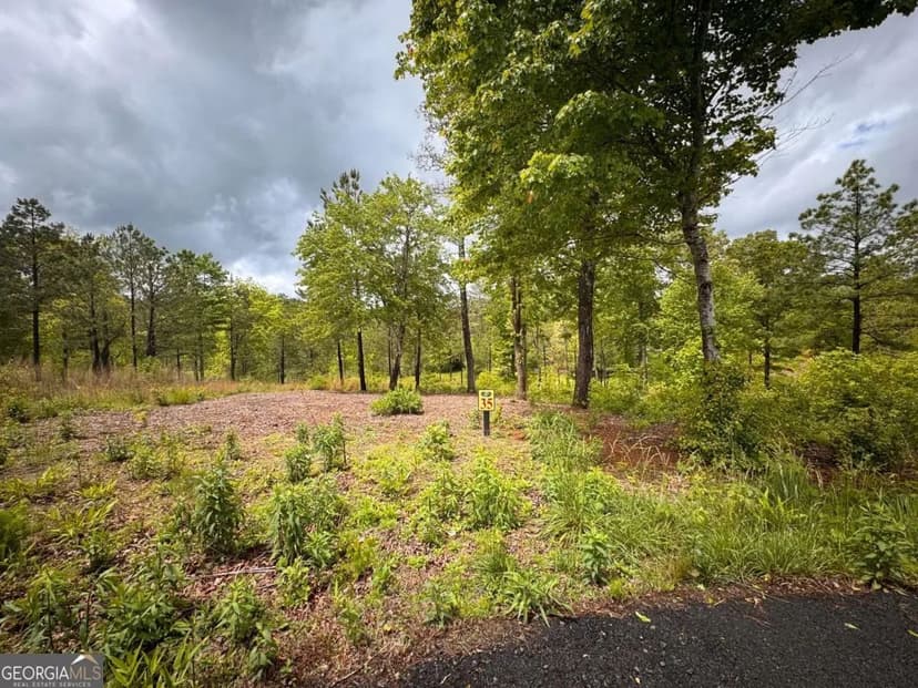 Vacant Land in Mineral Bluff