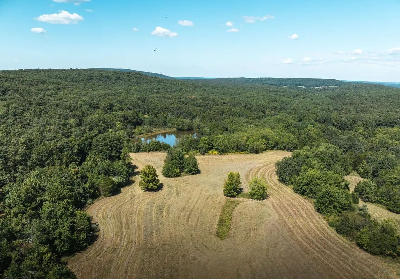 Buck Mountain Road Tract 4 - Doe Run, Missouri, 63637