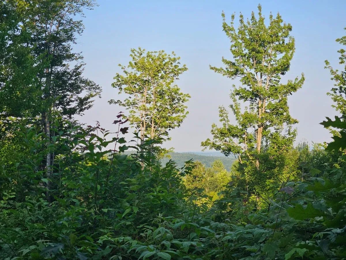 Temple Mountain View Estates West Lot 2 - Temple, Maine, 04984