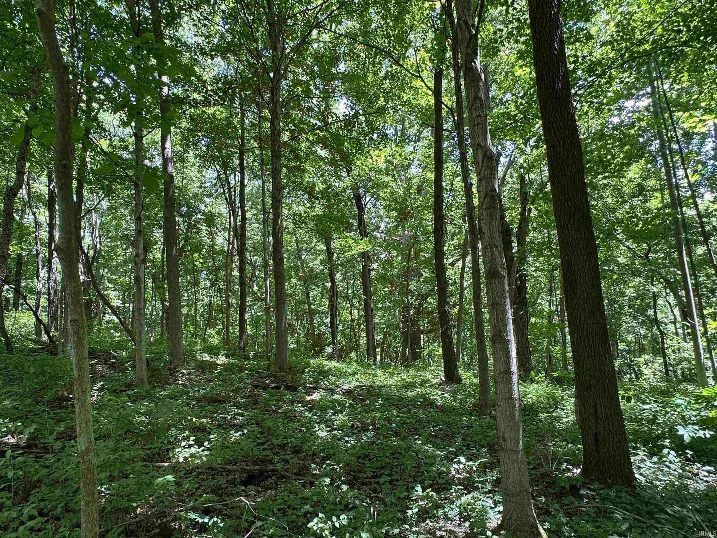 Vacant Land in Fort Wayne - Fort Wayne, Indiana, 46814