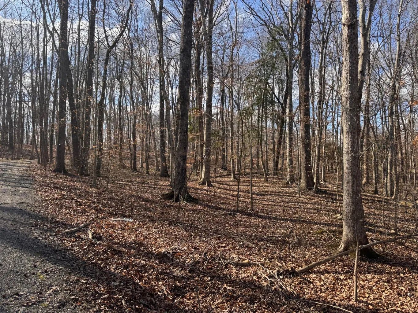 Land -Agricultural (Not Zoned) in Jamestown - Jamestown, Kentucky, 42629