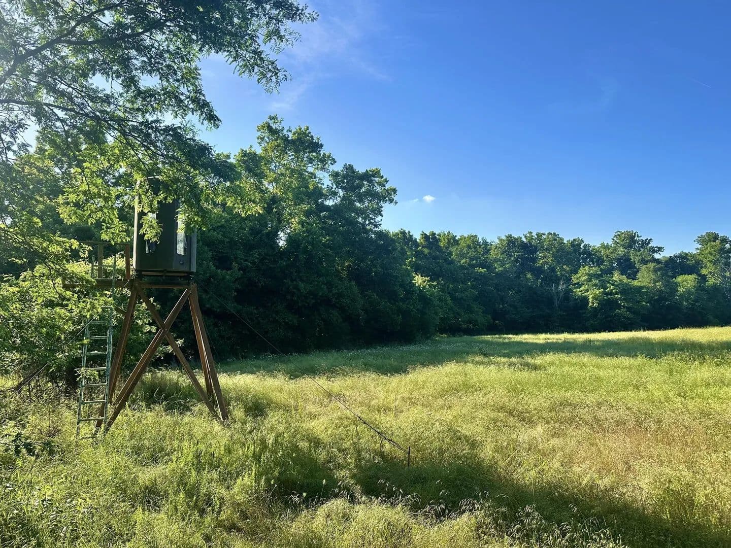 Lots & Land-Other in Wheatland - Wheatland, Missouri, 65779
