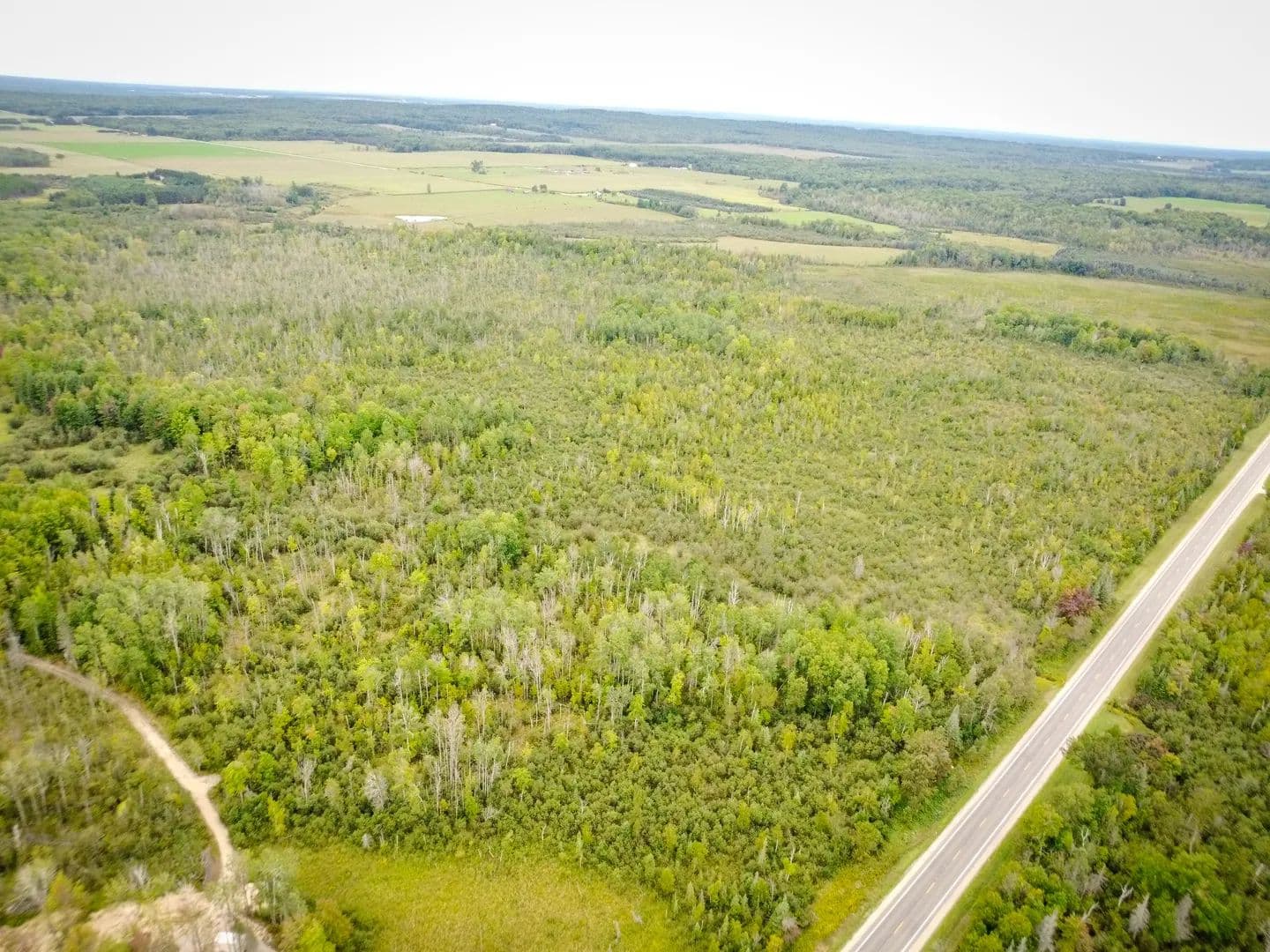 Vacant Land (10+ Acres) in Merritt - Merritt, Michigan, 49667